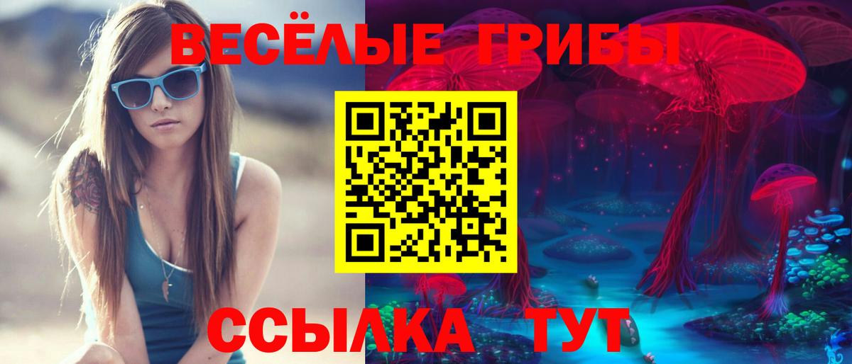 Светлоград  Галлюциногенные грибы GOLDEN TEACHER  Псилоцибиновые грибы Cubensis  Вход с VPN 